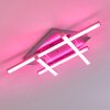 Eriz Deckenleuchte LED Nickel-Matt, 4-flammig, Fernbedienung, Farbwechsler
