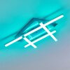 Eriz Deckenleuchte LED Nickel-Matt, 4-flammig, Fernbedienung, Farbwechsler