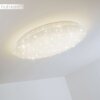 Trio Leuchten NAGANO Deckenleuchte LED Weiß, 1-flammig, Fernbedienung, Farbwechsler