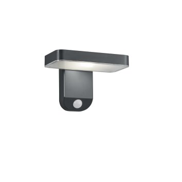 Reality Esquel Solar-Außenwandleuchte LED Anthrazit, 1-flammig, Bewegungsmelder