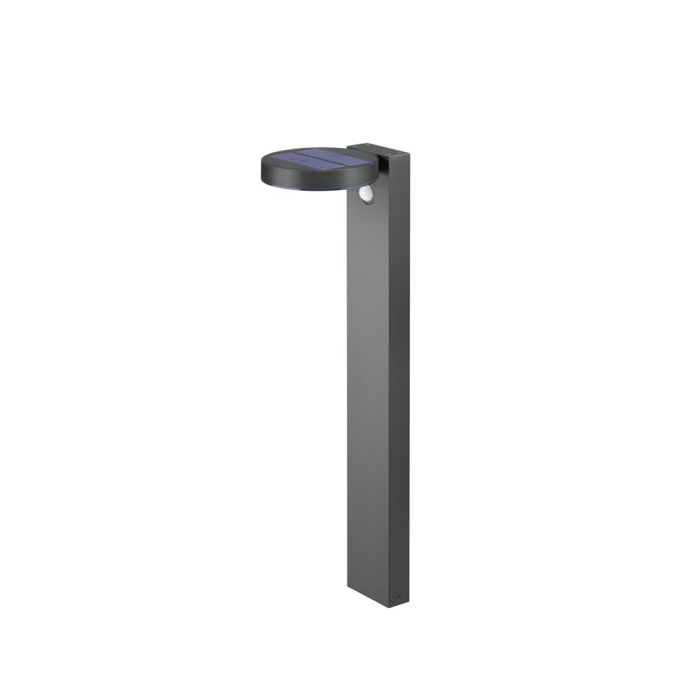 Reality Posadas Solar-Wegeleuchte LED Anthrazit, 1-flammig, Bewegungsmelder main product photo