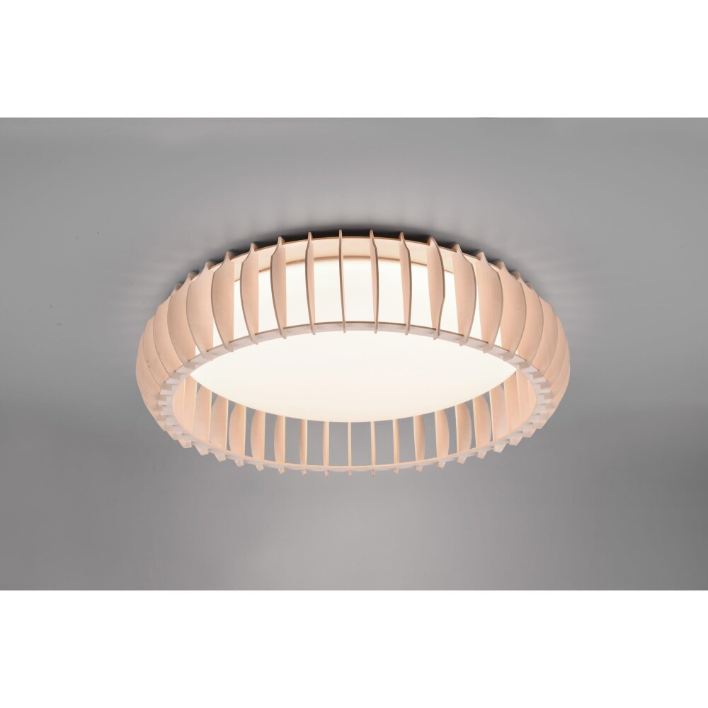 Reality Monte Deckenleuchte LED Weiß, 1-flammig, Fernbedienung main product photo