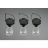 Reality Campus Solarleuchte LED Schwarz, 3-flammig
