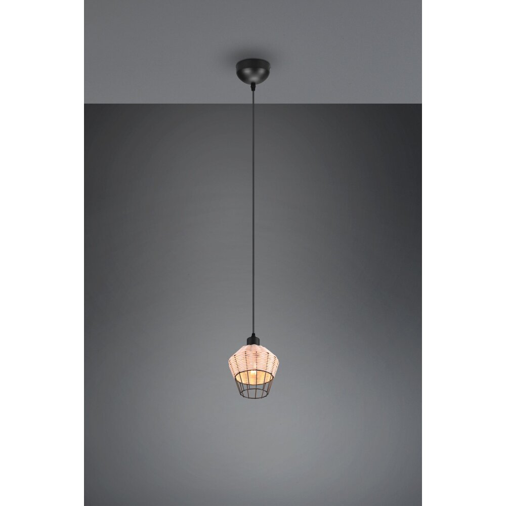Reality Borka Pendelleuchte Schwarz, 1-flammig main product photo