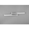 Reality Route Deckenleuchte LED Schwarz, 2-flammig