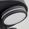 Huallilemu Deckenleuchte LED Schwarz, 3-flammig