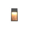 Trio SALMON Wandleuchte LED Holz hell, 1-flammig