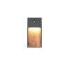 Trio SALMON Wandleuchte LED Holz hell, 1-flammig, Bewegungsmelder