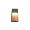 Trio SALMON Wandleuchte LED Holz hell, 1-flammig, Bewegungsmelder