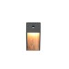 Trio SALMON Wandleuchte LED Holz hell, 1-flammig, Bewegungsmelder