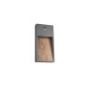 Trio SALMON Wandleuchte LED Holz hell, 1-flammig, Bewegungsmelder