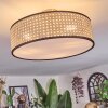 Foggia Deckenleuchte 40 cm Nickel-Matt, 3-flammig