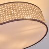Foggia Deckenleuchte 40 cm Nickel-Matt, 3-flammig