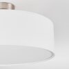 Foggia Deckenleuchte 40 cm Nickel-Matt, 3-flammig