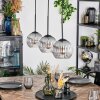 Koyoto Hängeleuchte Glas 15 cm Klar, Rauchfarben, 3-flammig