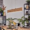 Fugelsta Pendelleuchte LED Schwarz, 1-flammig