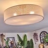 Foggia Deckenleuchte 50 cm Nickel-Matt, 3-flammig