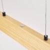 Fugelsta Pendelleuchte LED Schwarz, 1-flammig
