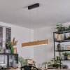 Fugelsta Pendelleuchte LED Schwarz, 1-flammig