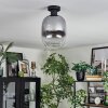 Apedo Deckenleuchte Glas 20 cm Klar, Rauchfarben, 1-flammig