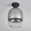Apedo Deckenleuchte Glas 20 cm Klar, Rauchfarben, 1-flammig