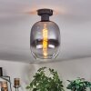 Apedo Deckenleuchte Glas 20 cm Klar, Rauchfarben, 1-flammig