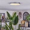 Elmar Deckenleuchte LED Silber, 1-flammig