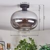 Apedo Deckenleuchte Glas 30 cm Rauchfarben, 1-flammig