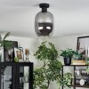 Apedo Deckenleuchte Glas 20 cm Rauchfarben, 1-flammig