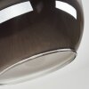 Apedo Deckenleuchte Glas 20 cm Rauchfarben, 1-flammig