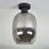 Apedo Deckenleuchte Glas 20 cm Rauchfarben, 1-flammig
