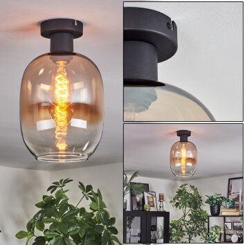 Apedo Deckenleuchte Glas 20 cm Bernsteinfarben, Klar, 1-flammig