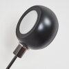 Nikkala Stehleuchte Chrom, Schwarz, 5-flammig