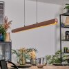Fugelsta Pendelleuchte LED Schwarz, 1-flammig
