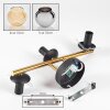 Koyoto Wandleuchte Glas 15 cm Gold, Schwarz, 3-flammig