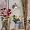Edain Wandleuchte LED Chrom, Nickel-Matt, 1-flammig
