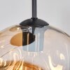 Ripoll Hängeleuchte Glas 25 cm Bernsteinfarben, Rauchfarben, 5-flammig