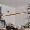 Fugelsta Pendelleuchte LED Schwarz, 1-flammig