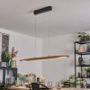 Fugelsta Pendelleuchte LED Schwarz, 1-flammig