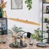 Fugelsta Pendelleuchte LED Schwarz, 1-flammig