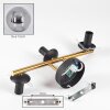 Gastor Wandleuchte Glas 15 cm Gold, Schwarz, 3-flammig