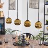 Ripoll Hängeleuchte Glas 15 cm Gold, 4-flammig