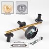 Gastor Wandleuchte Glas 15 cm Gold, Schwarz, 3-flammig