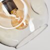 Ripoll Deckenleuchte Glas 15 cm Bernsteinfarben, Klar, Rauchfarben, 3-flammig