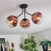 Koyoto Deckenleuchte Glas 15 cm Klar, Kupferfarben, 3-flammig