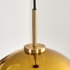 Koyoto Hängeleuchte Glas 30 cm Gold, Schwarz, 1-flammig