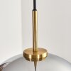 Koyoto Hängeleuchte Glas 30 cm Gold, Schwarz, 1-flammig