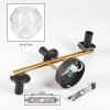 Ripoll Wandleuchte Glas 15 cm Gold, Schwarz, 3-flammig