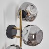Ripoll Wandleuchte Glas 15 cm Gold, Schwarz, 3-flammig