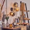 Ripoll Wandleuchte Glas 15 cm Gold, Schwarz, 3-flammig